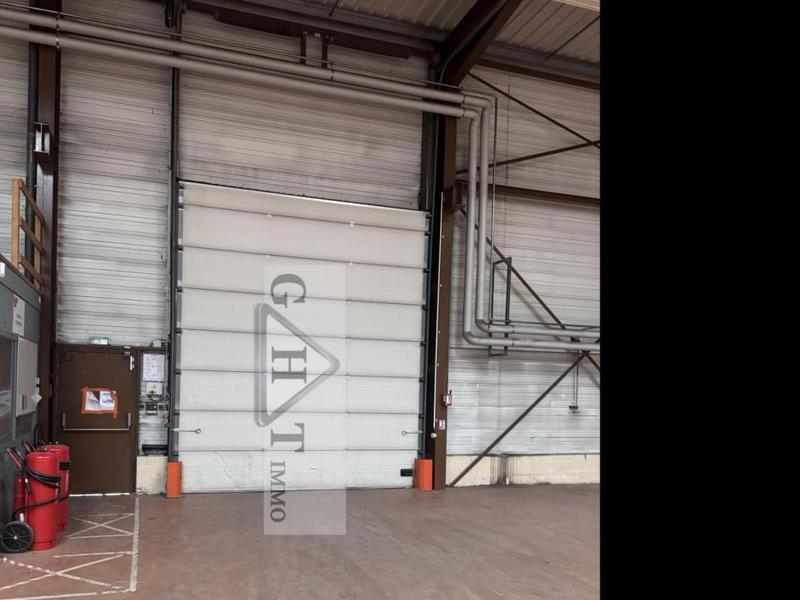 Entrepôt - 1 350 m²