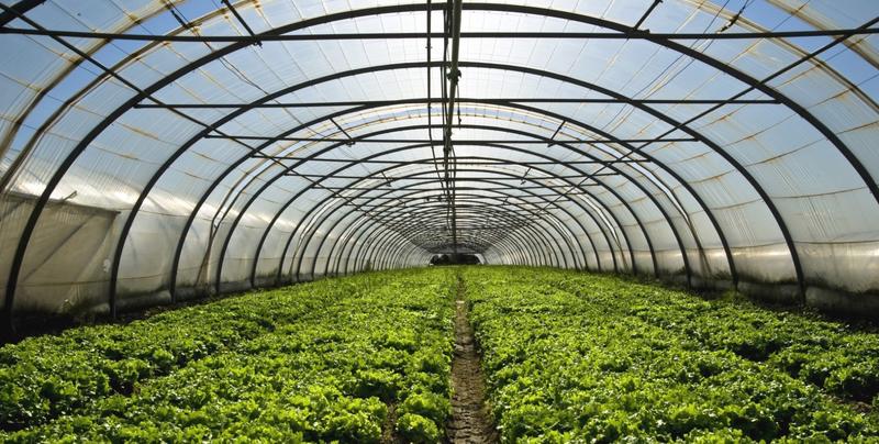 La Petite Jardinerie