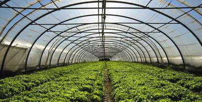 La Petite Jardinerie