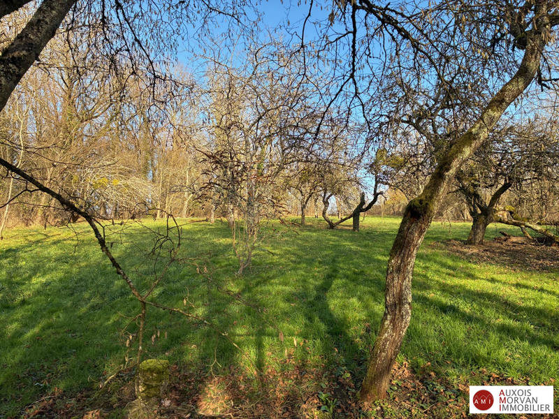 Maison ancienne - 259 m² - 6 pièces