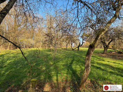 Maison ancienne - 259 m² - 6 pièces