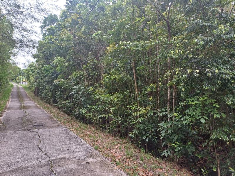 Terrain constructible - 1 050 m²