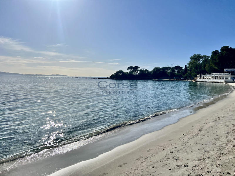 Duplex - 44 m² - 2 pièces