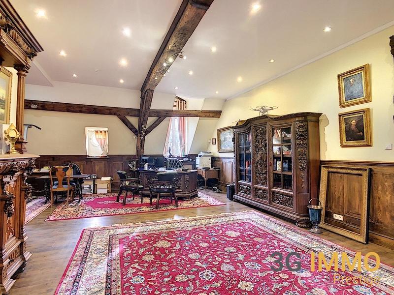 Château - 2 000 m² - 22 pièces