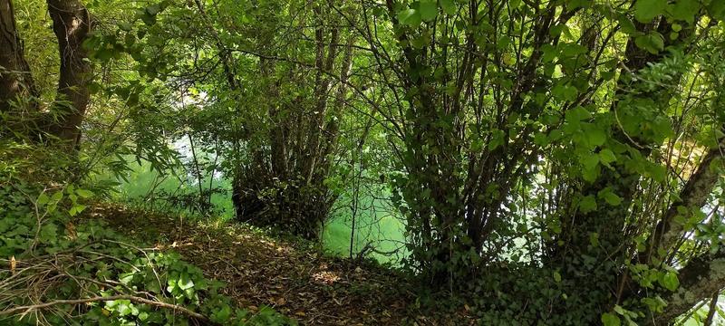 Maison - 166 m² - 8 pièces