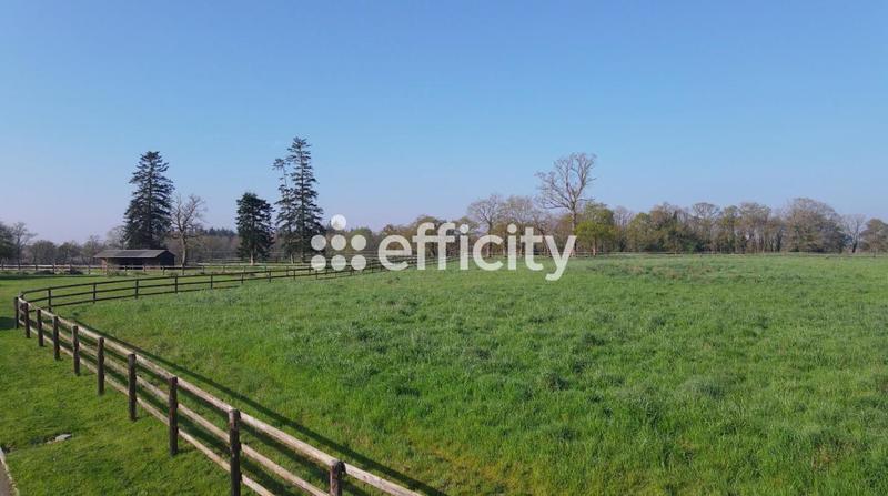 Maison de domaine équestre - 356 m² - 13 pièces