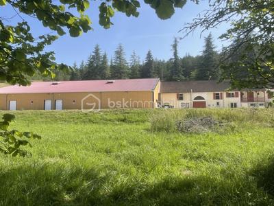 Local commercial - 500 m² - 15 pièces