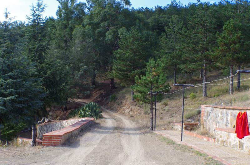 Maison de domaine - 132 m² - 4 pièces