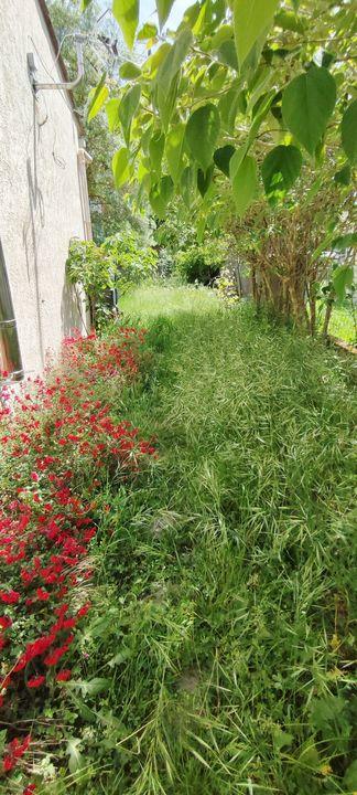 Villa - 195 m² - 6 pièces