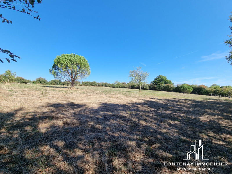 Maison - 173 m² - 7 pièces