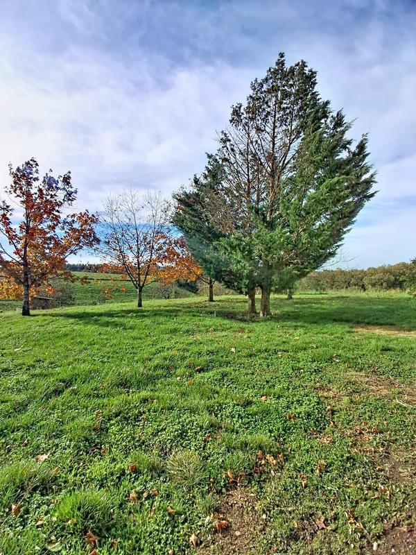 Maison - 116 m² - 5 pièces