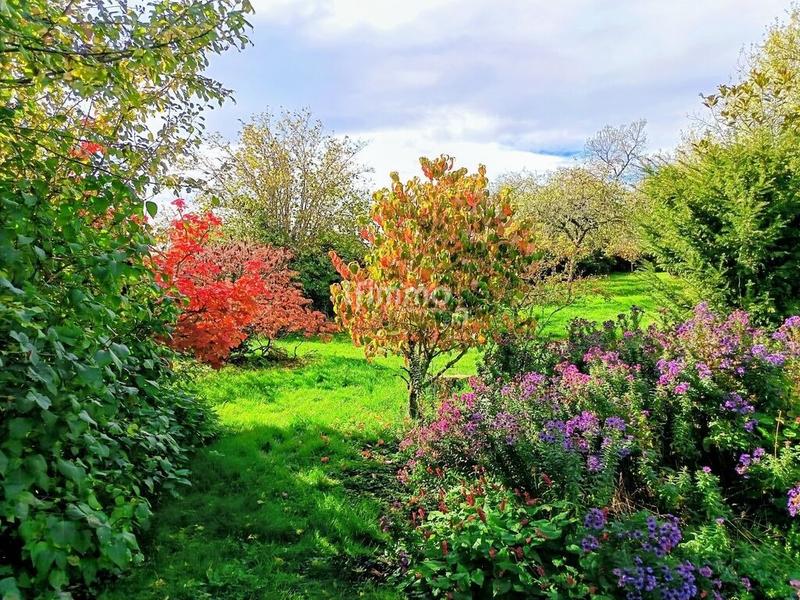 Propriété - 312 m² - 11 pièces