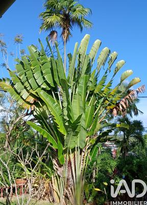 Maison - 194 m² - 9 pièces