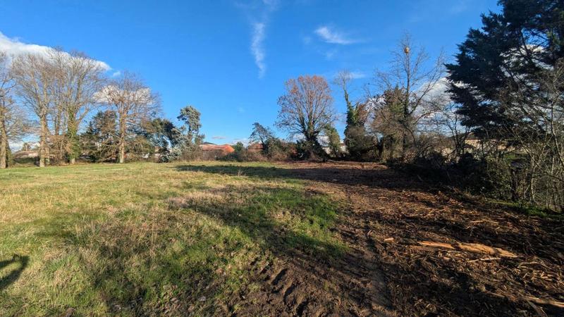 Terrain constructible - 3 931 m²