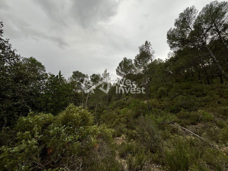 Terrain - 14 680 m²