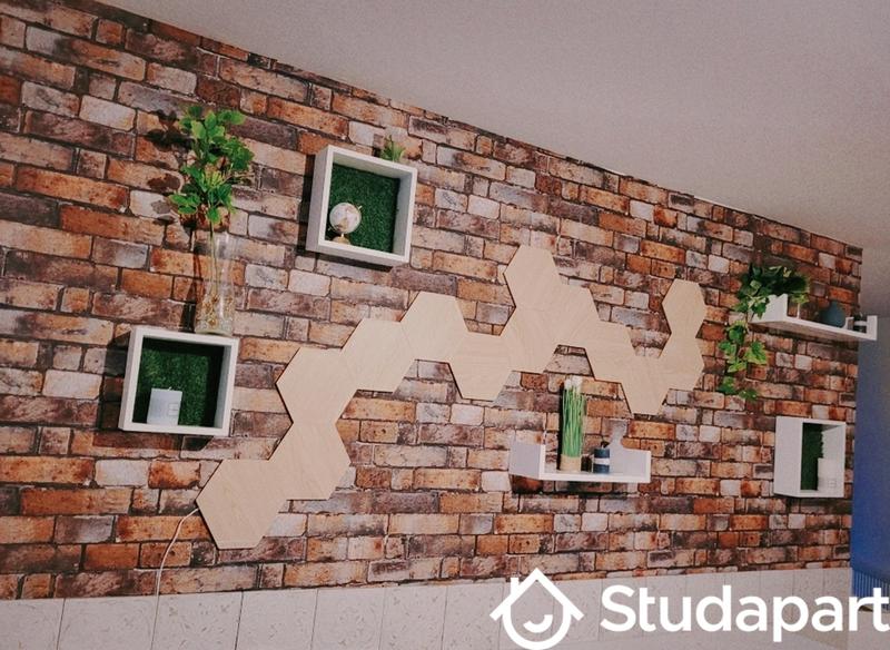 Chambre - 11 m² - 1 pièce