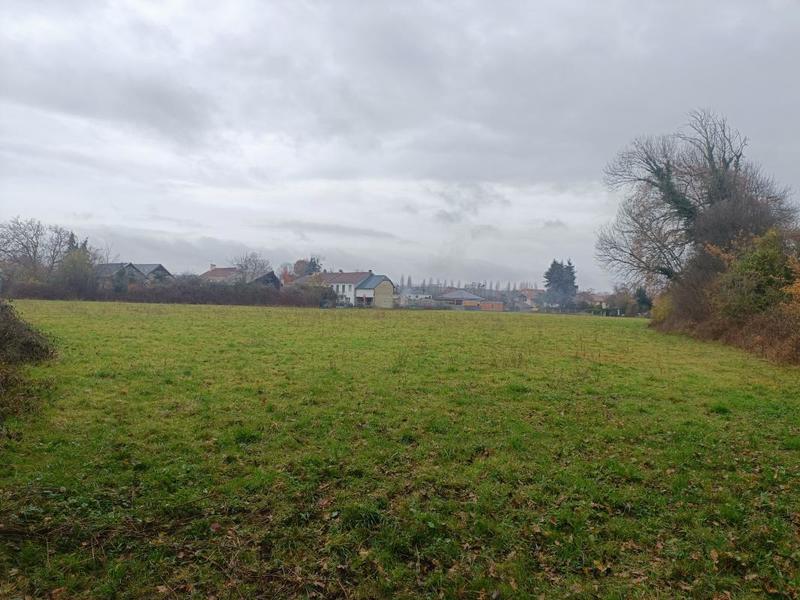 Terrain - 11 770 m²