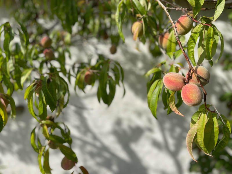 Longère - 97 m² - 5 pièces