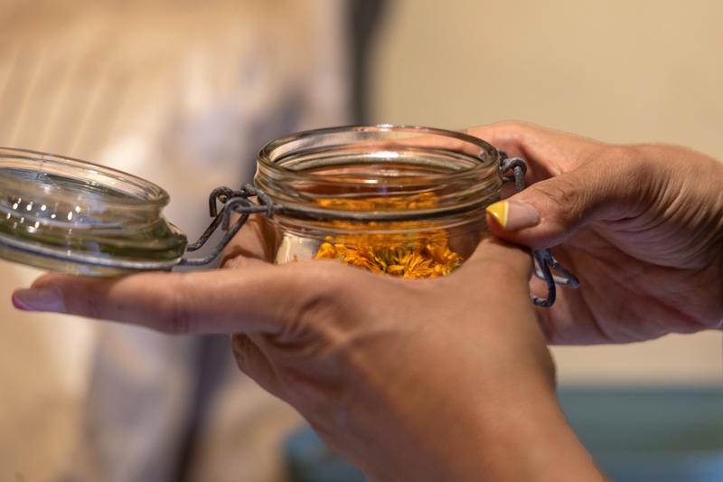 Découvrez les bienfaits des plantes sauvages - Mai