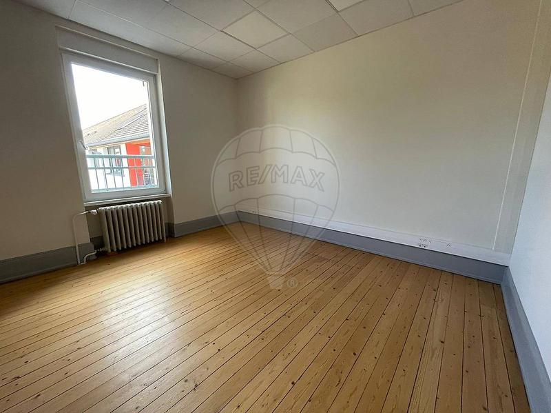 Bureau - 240 m² - 7 pièces