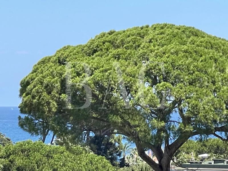 Villa - 320 m² - 8 pièces