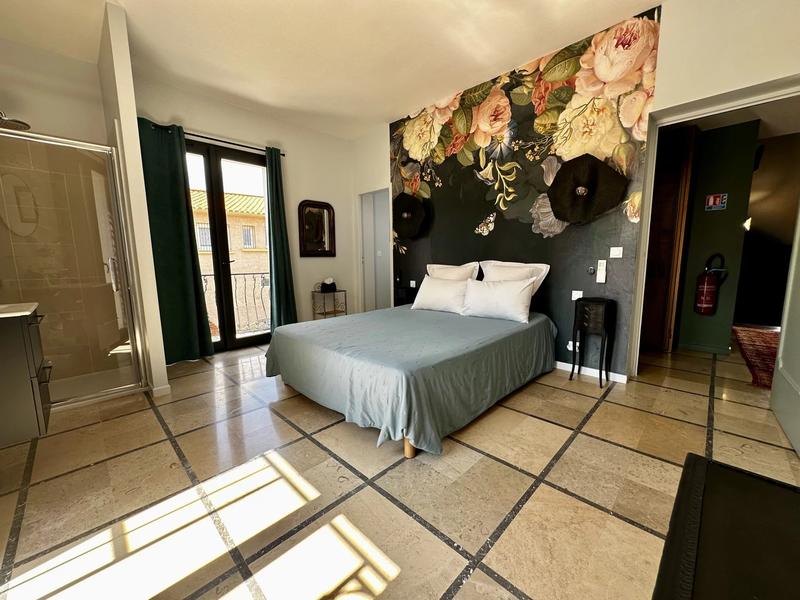 Maison chambre d'hôtes - 340 m² - 8 pièces