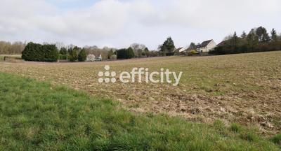 Terrain - 814 m²