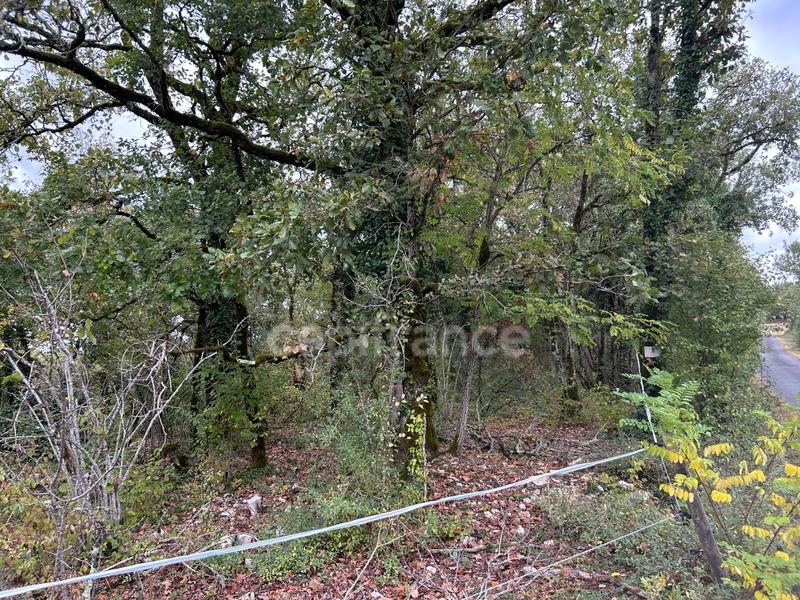 Terrain de loisirs - 16 353 m²