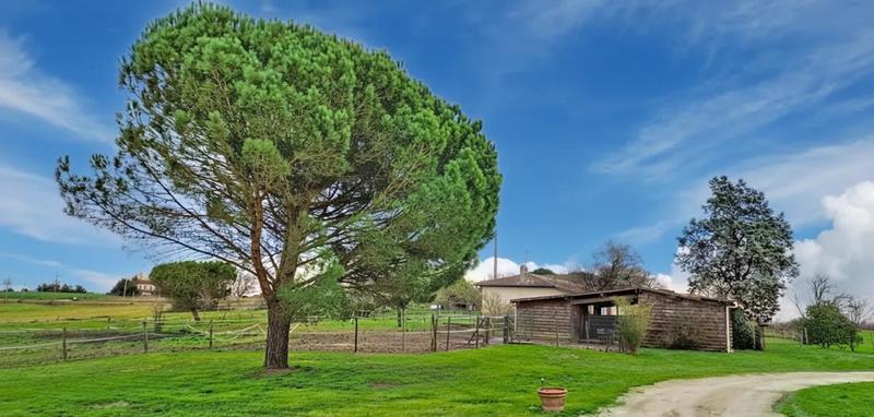 Maison - 377 m² - 7 pièces