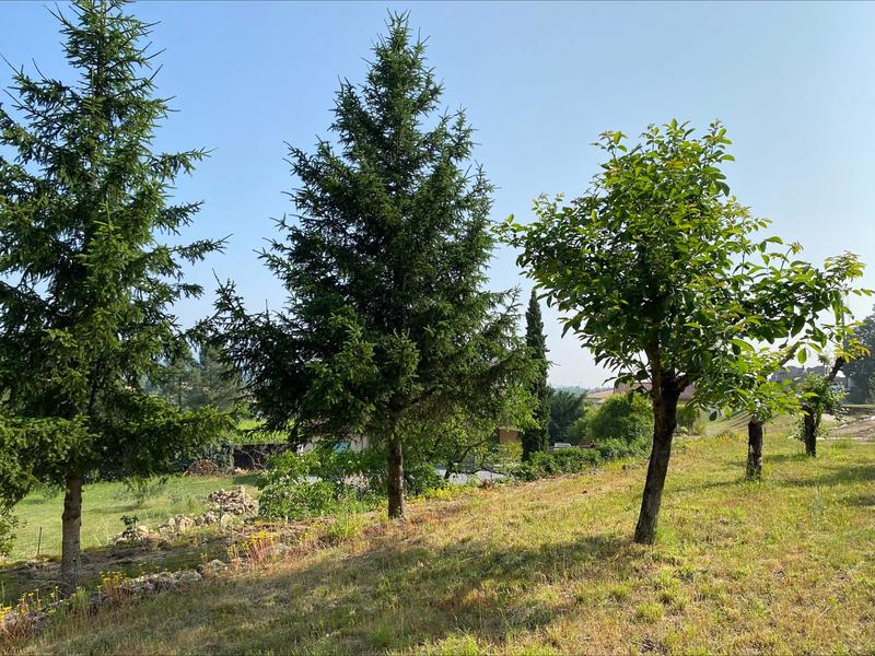 Terrain - 914 m²