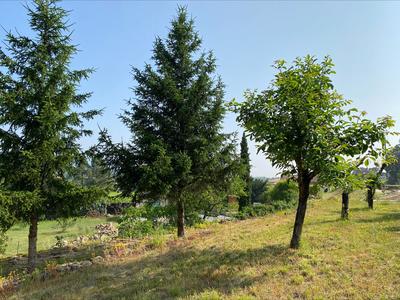 Terrain - 914 m²