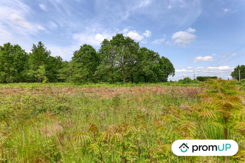 Terrain de loisirs - 4 000 m²