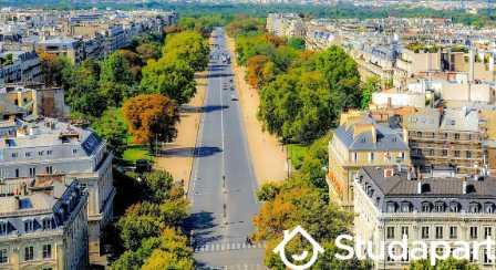 Appartement - 28 m² - 1 pièce