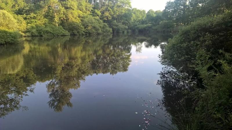 Château - 450 m² - 9 pièces