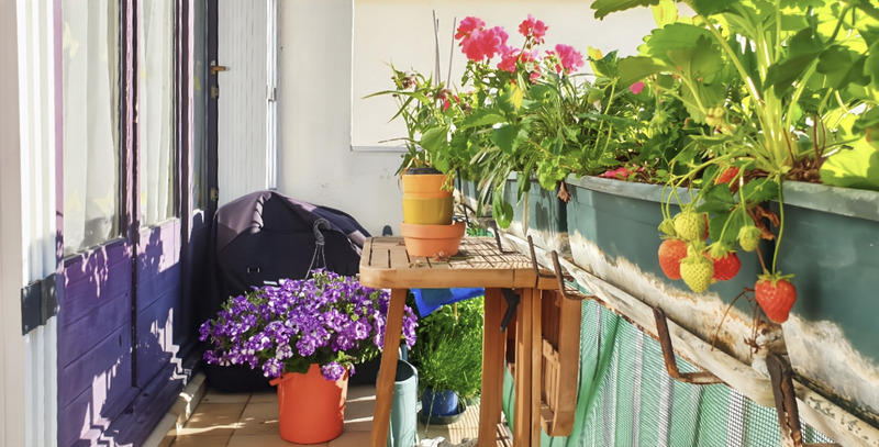 Appartement - 80 m² - 4 pièces