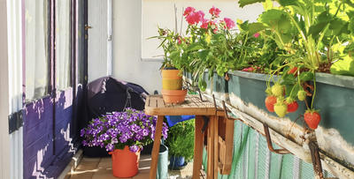 Appartement - 80 m² - 4 pièces