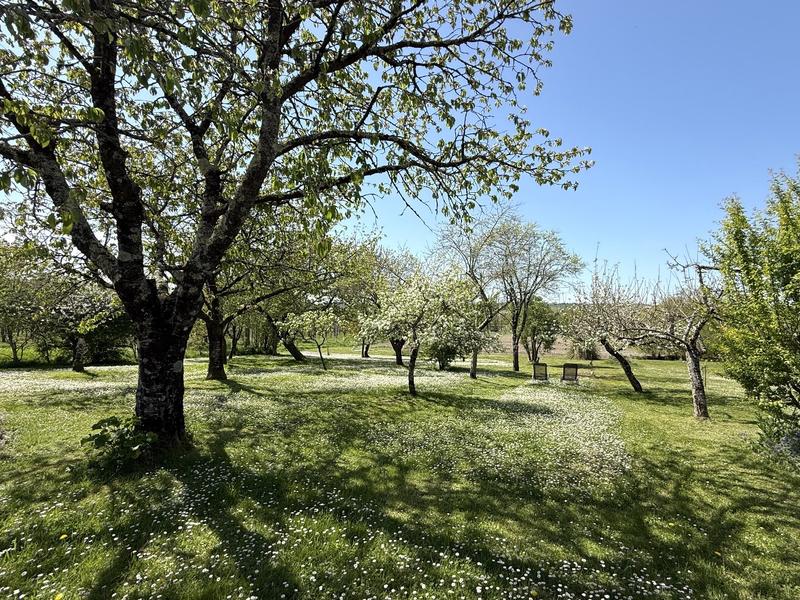 Maison - 294 m² - 10 pièces