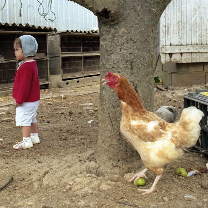 Rencontre-projection par le photographe Philippe Bazin à Bibracte