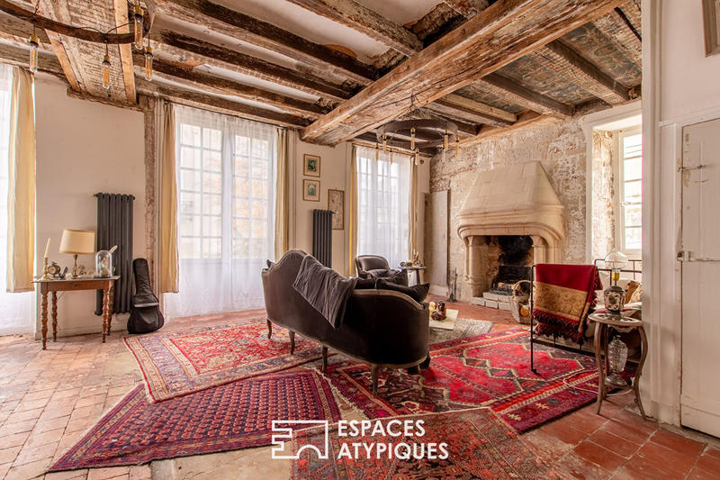 Hôtel particulier - 385 m² - 11 pièces