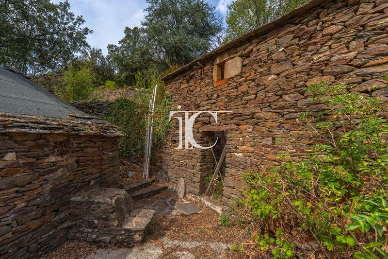 Maison en pierre - 82 m² - 7 pièces