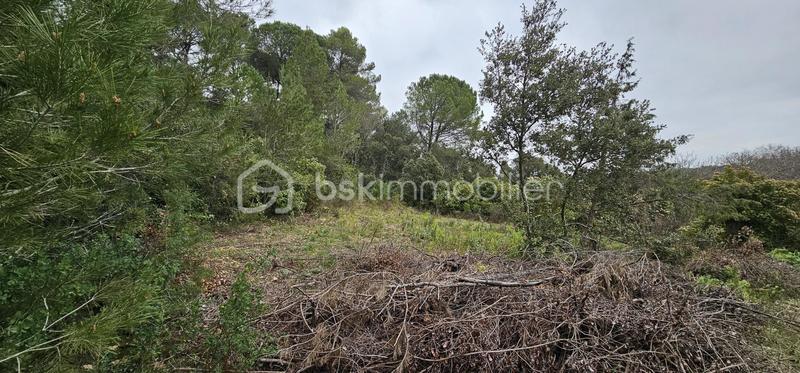Terrain agricole - 7 256 m²