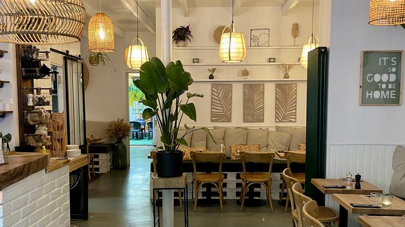 Lovebird Saint-cloud