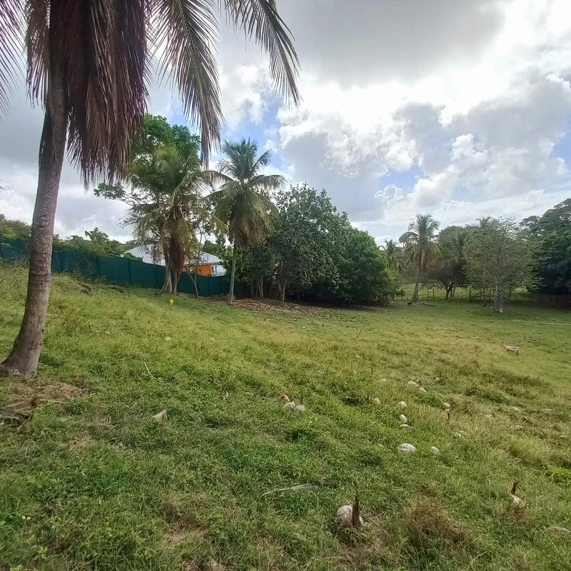 Terrain constructible - 968 m²