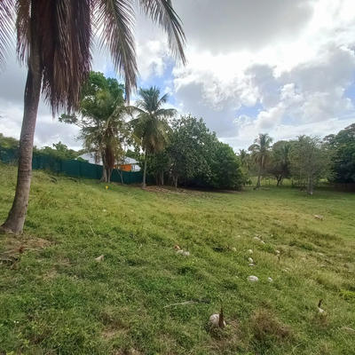 Terrain constructible - 968 m²