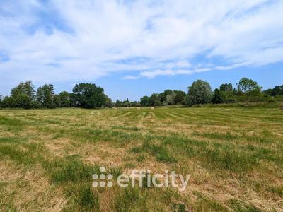 Grange - 216 m² - 8 pièces