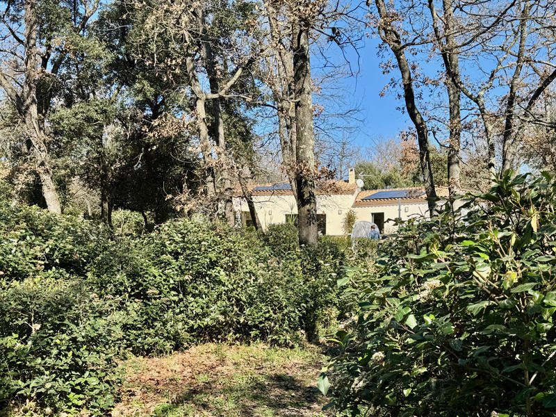 Maison - 265 m² - 7 pièces