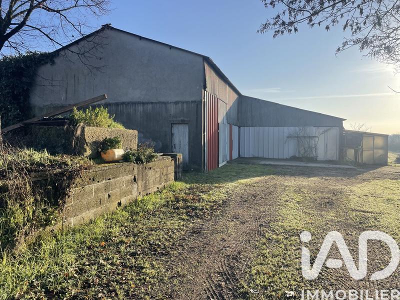 Maison - 134 m² - 5 pièces