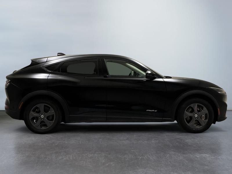 Ford Mustang Mach-E Standard Range 76 kWh 269 ch