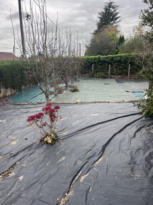 Maison ancienne - 120 m² - 5 pièces