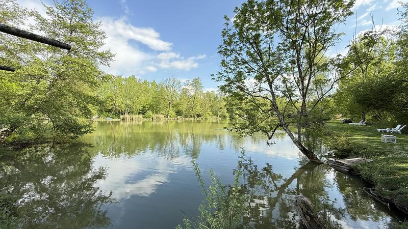 Terrain - 13 420 m²